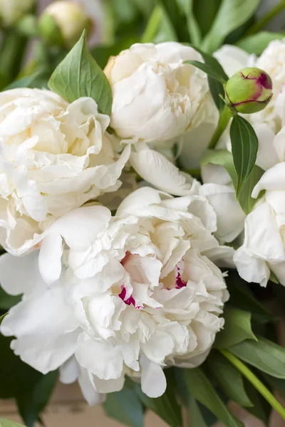 Flores Peonía Blanca Ramo Bodas Cerca —  Fotos de Stock