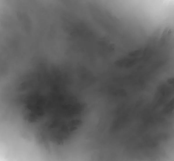 Abstrato Fractal Preto Branco Sobre Fundo Branco Textura Fractal Fantasia — Fotografia de Stock