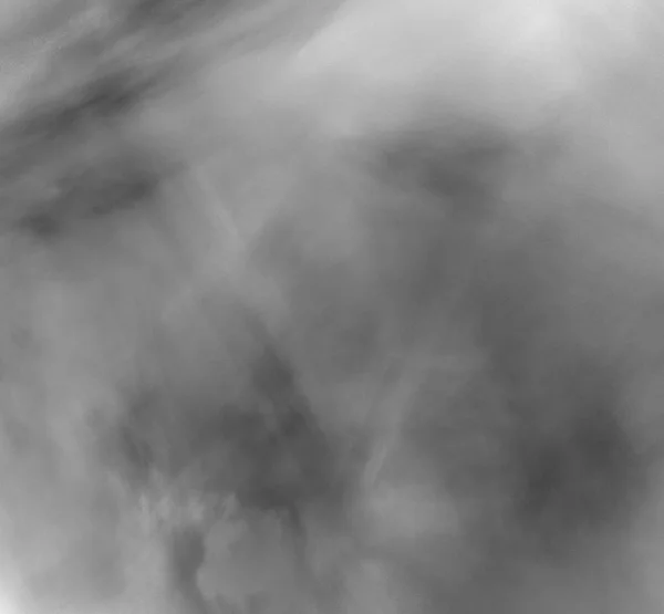 Abstrato Fractal Preto Branco Sobre Fundo Branco Textura Fractal Fantasia — Fotografia de Stock