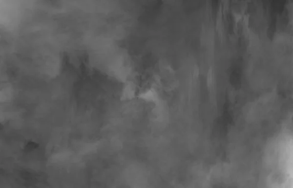 Abstracte Zwarte Witte Fractal Witte Achtergrond Fantasie Fractale Patroon Digitale — Stockfoto
