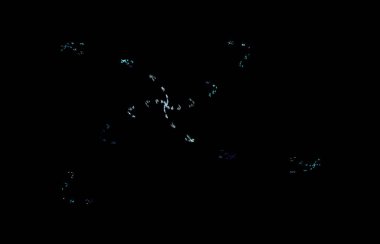 Siyah arka plan üzerine beyaz mavi fraktal desen. Dijital sanat. 3D render. Oluşturulan bilgisayar görüntü