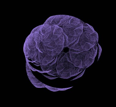 Siyah arka plan üzerine menekşe Soyut Fraktal. Fantezi fraktal doku. Dijital sanat. 3D render. Oluşturulan bilgisayar görüntü.