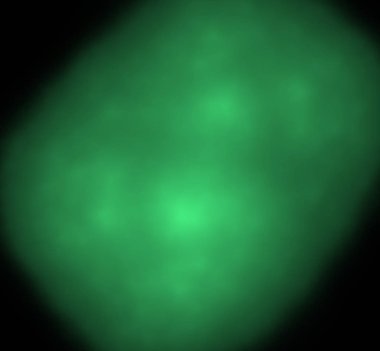 UFO yeşil fraktal arka plan bulanık. Fantezi fraktal doku. Dijital sanat. 3D render. Oluşturulan bilgisayar görüntü