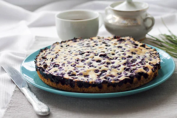 Ev yapımı yaban mersinli pasta portre mavi plaka üzerinde 