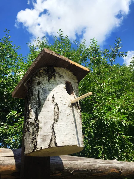 Handgemaakte Birdhouse Van Een Stam Van Berk Gekoppeld Aan Een — Stockfoto