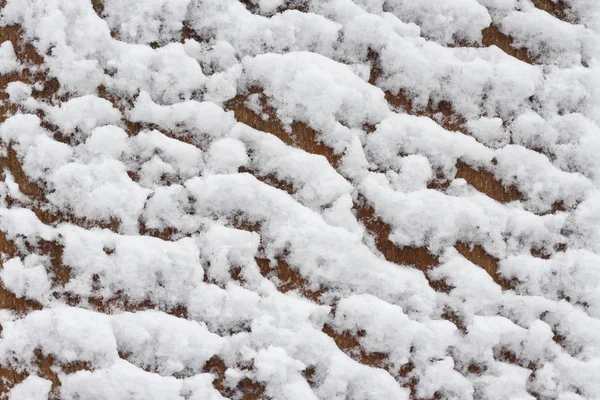 Fundo Madeira Coberto Com Neve — Fotografia de Stock