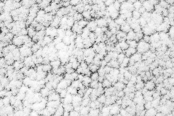 Snow covered with a crust of ice — Stock Photo, Image