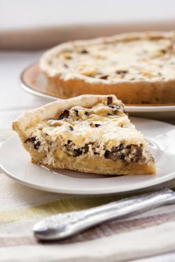 Tavuk mantar ve peynir ile tart