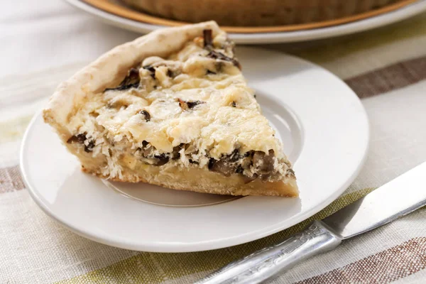 Slice of chicken tart with mushrooms and cheese on a plate — Stock Photo, Image