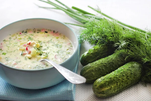Okroshka-traditionell rysk kall soppa — Stockfoto