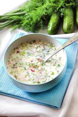 Okroshka - geleneksel Rus soğuk çorbası taze salatalık, haşlanmış yumurta ve dereotlu