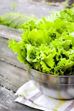 Eski ahşap masada metal kase taze marul yaprakları