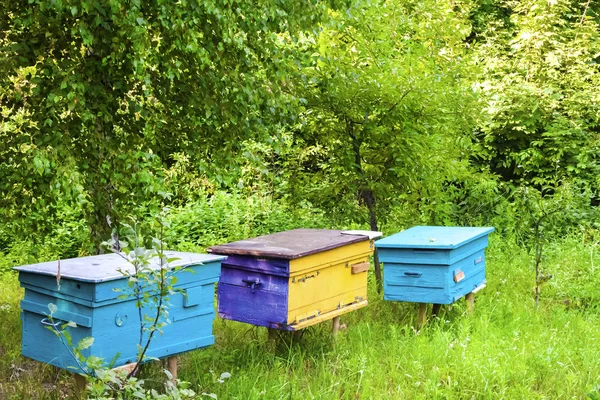 Bir yaz bahçesinde Apiary renkli kovanları
