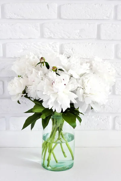 Bouquet de pivoines blanches dans un vase en verre sur fond de mur blanc cassé avec espace de copie — Photo