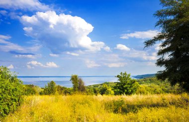 Kaniv Reservoir sahilinin güzel manzarası, Ukrayna, güneşli bir günde