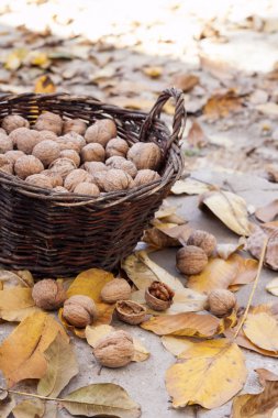 Hasır sepetin içindeki cevizler, düşmüş sarı yapraklar.