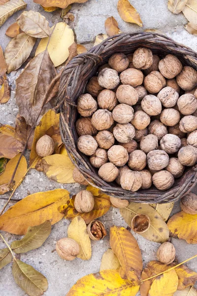 Орехи в плетеной корзине на фоне опавших желтых листьев — стоковое фото