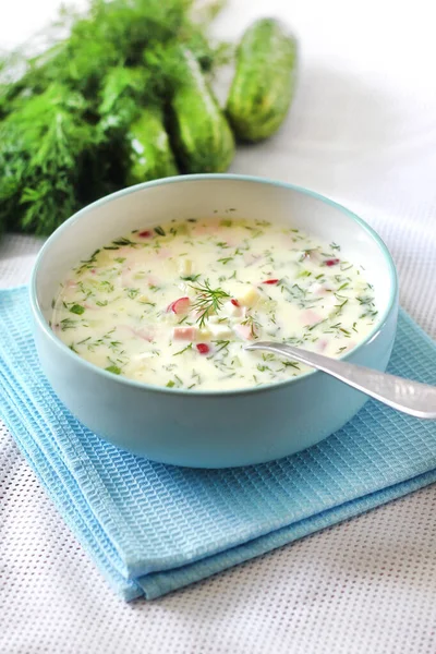 Okroshka Traditionelle Kalte Russische Suppe Mit Frischen Gurken Gekochten Eiern — Stockfoto