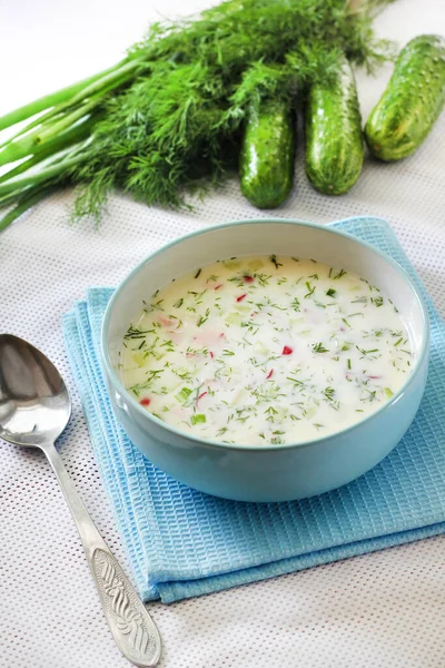 Okroshka Sopa Fría Tradicional Rusa Con Pepino Fresco Huevos Cocidos —  Fotos de Stock