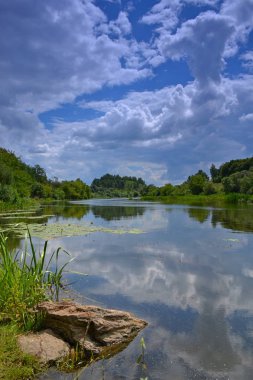 çiçek dünya Nehri üzerinde