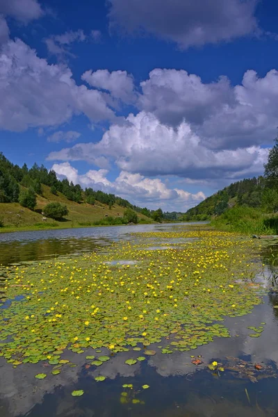 çiçek dünya Nehri üzerinde