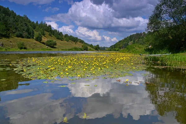 çiçek dünya Nehri üzerinde