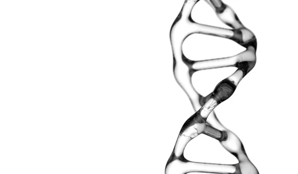 Dna High Quality White Background — Stock Photo, Image