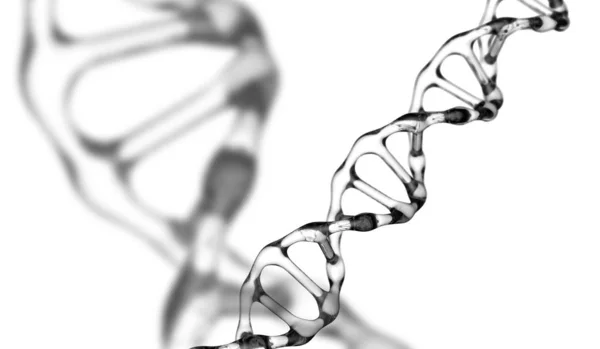 Dna High Quality White Background — Stock Photo, Image