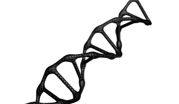 고품질 렌더링의 Dna — 스톡 사진