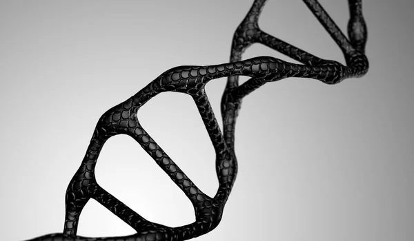 Dna High Quality Rendering — Stock Photo, Image