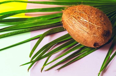 Hindistan cevizi. Palmiye yaprağı Yemek. Meyve. Hindistan cevizi sütü
