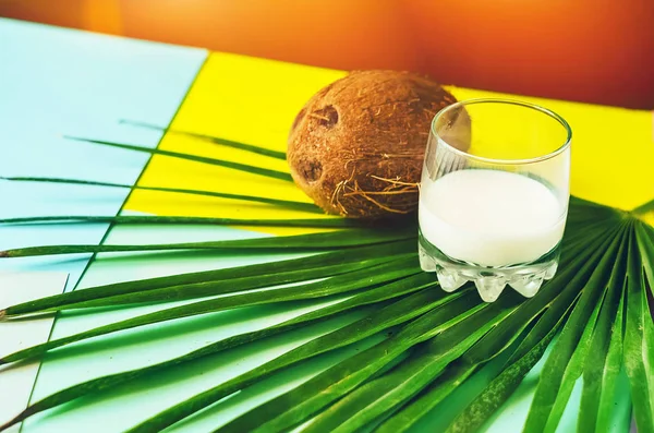 Palmblatt Ein Glas Mit Milch Kokosnuss Gelber Hintergrund Sonneneinstrahlung — Stockfoto