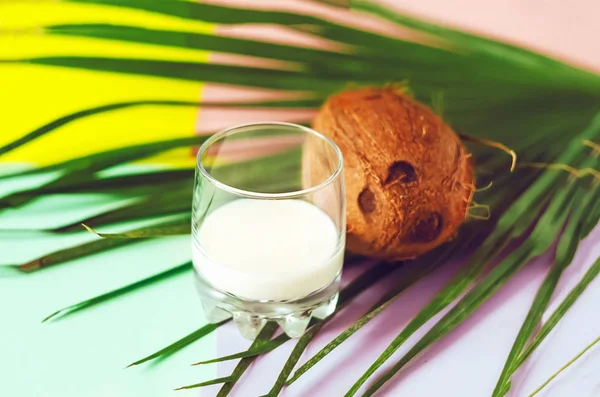 Leche Coco Vaso Verano Fruta Fruta Exótica Minimalismo — Foto de Stock