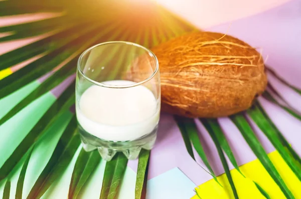 Milch Ein Glas Kokosmilch Exotisch Essen Und Trinken Gesunde Ernährung — Stockfoto