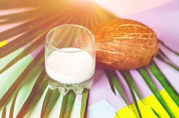 Milch Ein Glas Kokosmilch Exotisch Kokosnuss Hintergrund Und Textur — Stockfoto