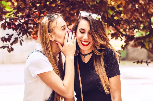 Kız Arkadaşın Kulağına Komik Bir Şey Fısıldıyor Sır Gülümse Açık — Stok fotoğraf