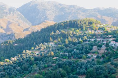 Batı Girit 'te yer alan Lakkoi dağ köyü, yazın açık güneşli gökyüzünün altında yoğun bir çam ormanı ve tepelerle çevrilidir.