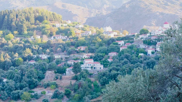 Batı Girit 'te yer alan Lakkoi dağ köyü, yazın açık güneşli gökyüzünün altında yoğun bir çam ormanı ve tepelerle çevrilidir.