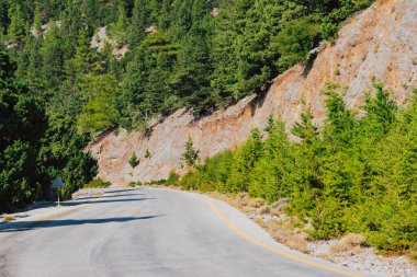 Girit adasındaki dağ yolu bölümü, Beyaz Dağlar 'daki Omalos köyü yakınlarında, yaz aylarında yol kenarında çam ağaçları var..