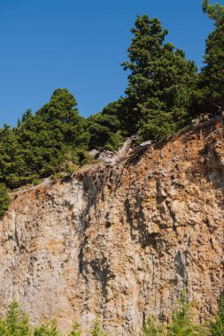 Girit dağ manzarası güneşli gökyüzünün altında toprak ve kil heyelan sonrasında kayalık yamaçtaki eski bir çam ağacının köklerinin ortaya çıkışını gösteriyor