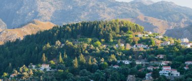 Batı Girit 'te yer alan Lakkoi dağ köyü, yazın açık güneşli gökyüzünün altında yoğun bir çam ormanı ve tepelerle çevrilidir.