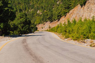 Girit adasındaki dağ yolu bölümü, Beyaz Dağlar 'daki Omalos köyü yakınlarında, yaz aylarında yol kenarında çam ağaçları var..