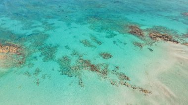 Elafonisi 'de kristal berrak turkuaz deniz suyuyla sersemletici bir sahil, Yunanistan' ın doğal güzellik, rahatlama ve yaz turizmiyle bilinen ünlü yeri.