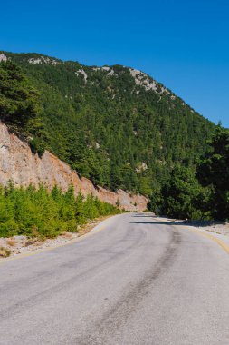 Girit adasındaki dağ yolu bölümü, Beyaz Dağlar 'daki Omalos köyü yakınlarında, yaz aylarında yol kenarında çam ağaçları var..