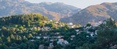 Batı Girit 'te yer alan Lakkoi dağ köyü, yazın açık güneşli gökyüzünün altında yoğun bir çam ormanı ve tepelerle çevrilidir.