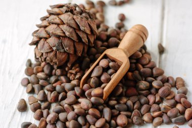 Sedir fındık yığını üzerinde ahşap Kepçe hayalarına sedir