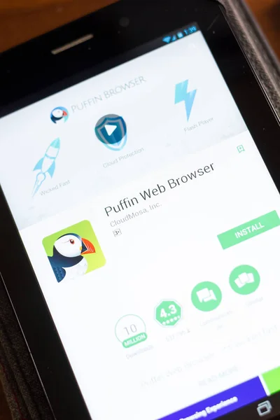 Ryazan Rusia Junio 2018 Puffin Web Browser Aplicación Móvil Pantalla — Foto de Stock
