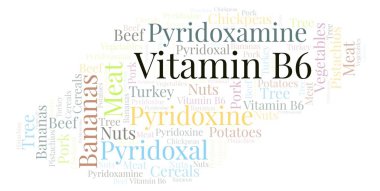 B6 vitamini kelime bulutu.