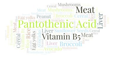 Pantotenik asit kelime bulutu.