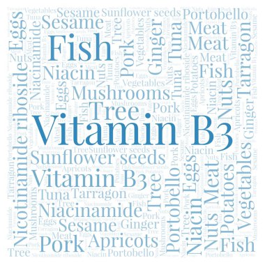 B3 vitamini bir kare şekli kelime bulutu.